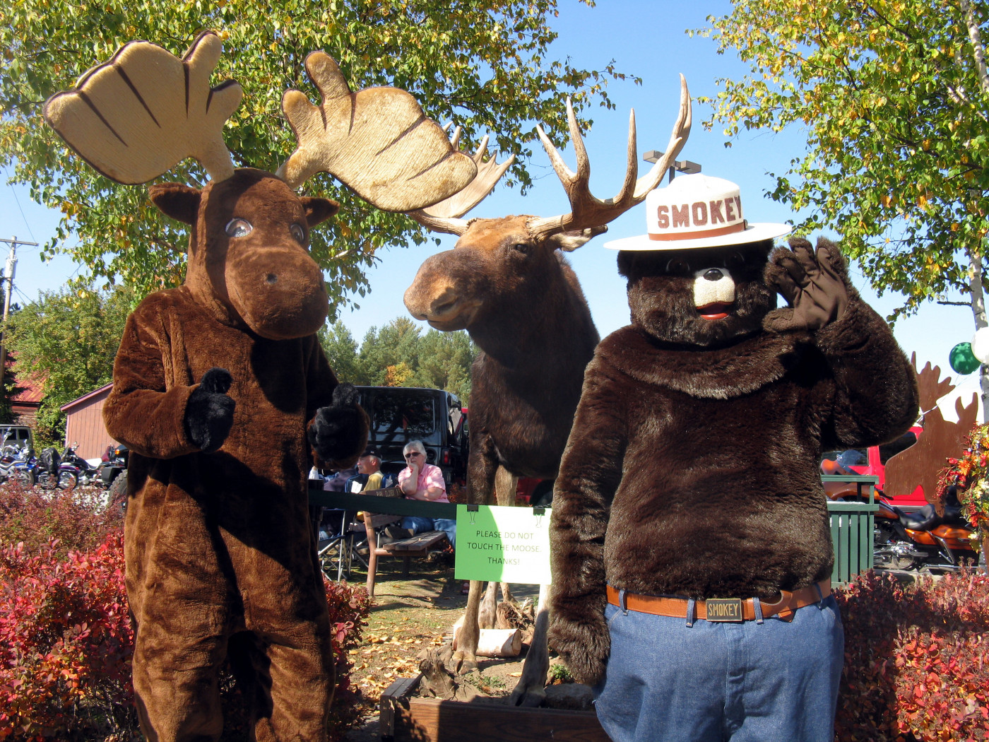 moose tour adirondacks